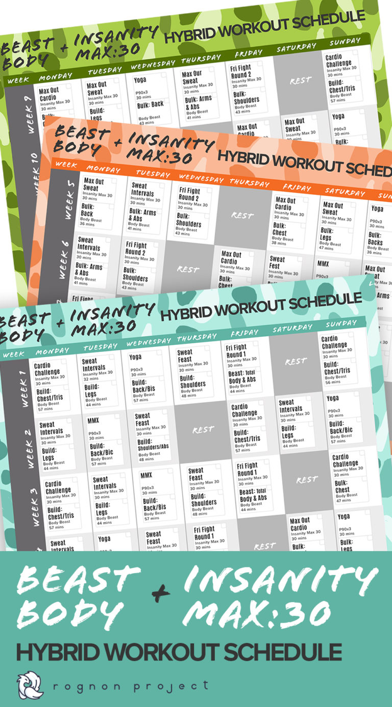 Our Family’s Current Workouts {Beast Body & Insanity Max:30 Hybrid ...